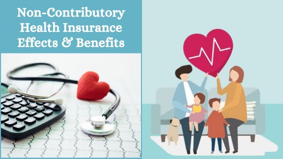 A Non-Contributory Health Insurance Plan Helps You Save 2024